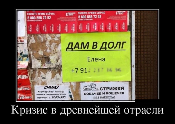 Демотиваторы (30 фото)
