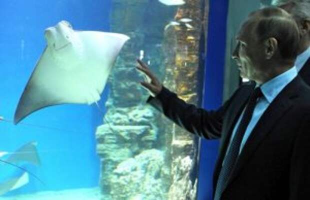 Путин в аквариуме