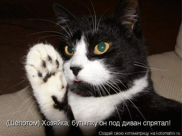 Мысли вслух :)