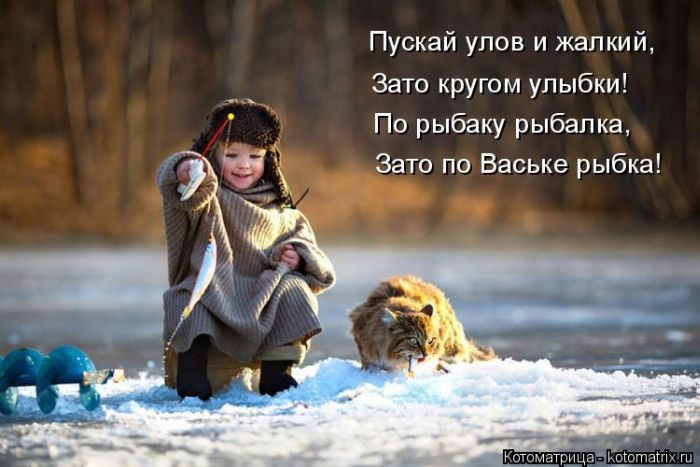 Лучшие котоматрицы недели
