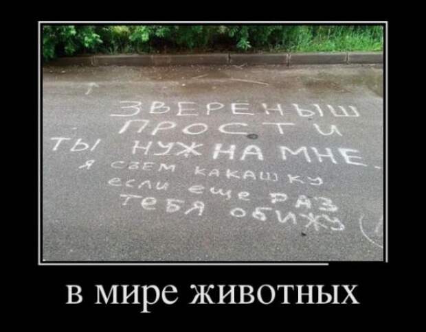 Обо всём.