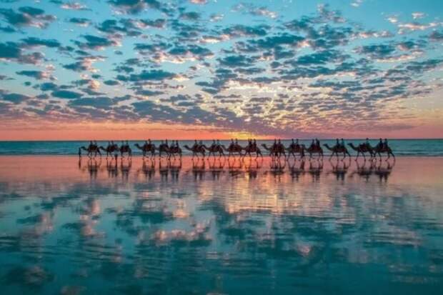 Фотографии, на которых нет ничего лишнего (21 фото)