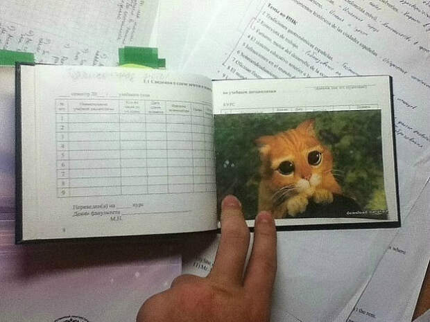 студенческие годы (5)