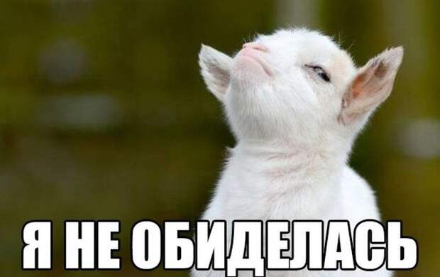 Смешные картинки с надписями прикол, юмор