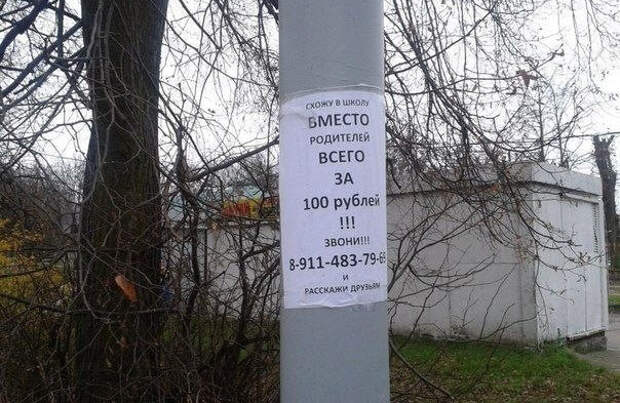 Забавные объявления, вывески, ценники