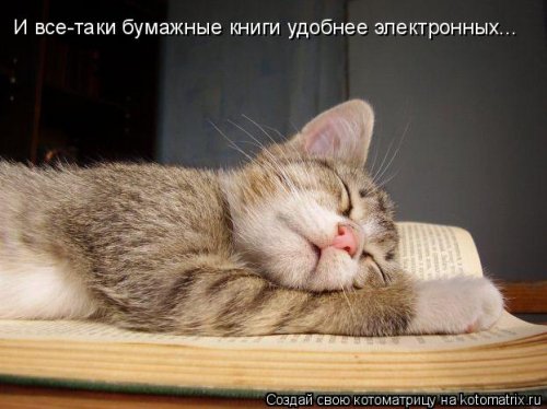 Новая котоматрица (32 фото)