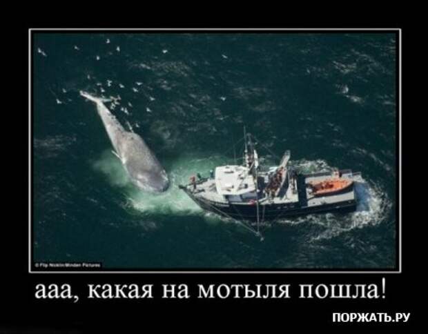 Демотивируемся по полной, только хорошими постами.
