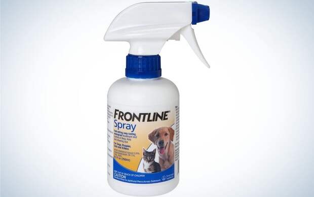Frontline Spray is the best flea and tick prevention for dogs.