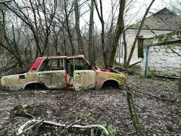 В окрестных лесах полно диких волков и кабанов, которые в отсутствии людей чувствуют себя здесь хозяевами. Особенно по ночам Припять, Чернобыль, зона, туризм, чаэс, экстрим