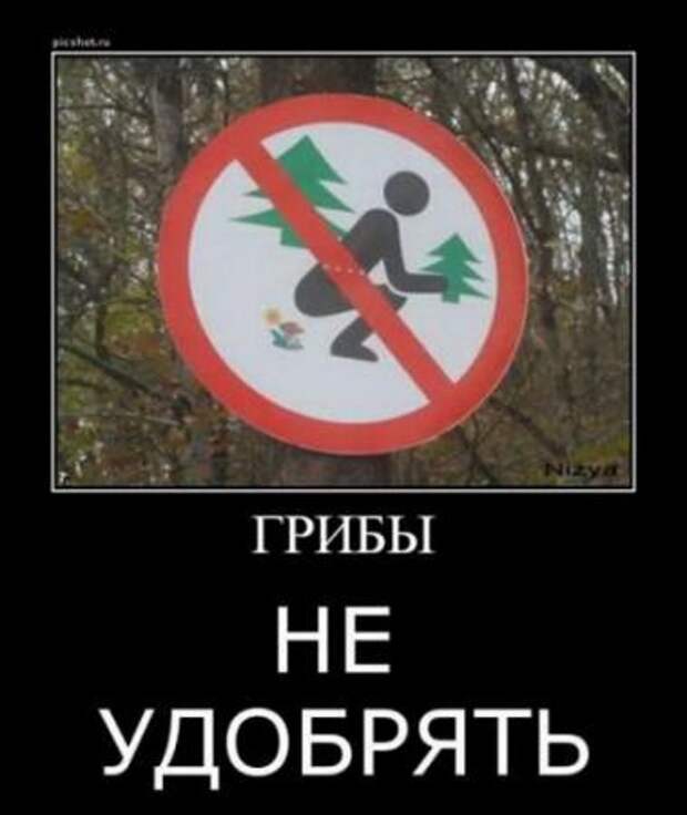 Веселые демотиваторы, приколы в каждом фото.