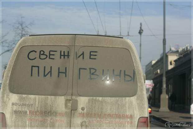 Прикольные надписи на машинах креатив.автомобили, надписи, надпись