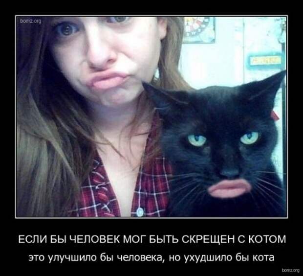 Приколы демотиваторы, смешные надписи и фото.