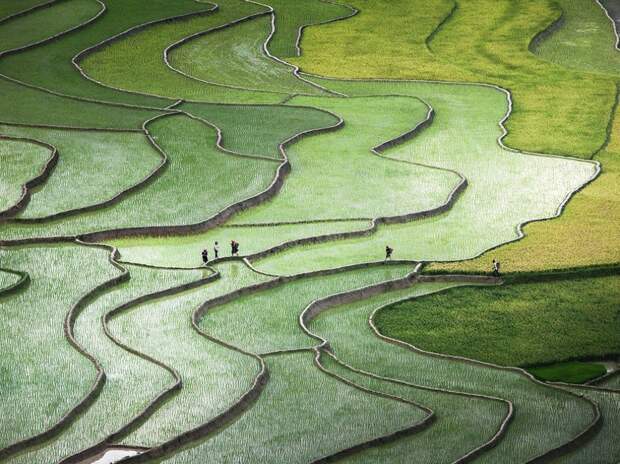 Лучшие фотографии от National Geographic октябре 2015