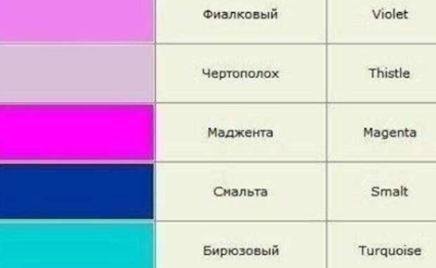 Странные названия цветов. Чертополоховый цвет. Все оттенки фуксии цвета и их названия. Оттенки и названия цвета чертополоха. Смесь синего и красного оттенки цветов названия.