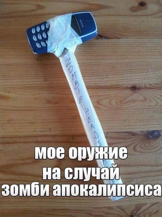 Картинки со смешными подписями картинки, прикол, юмор