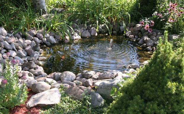 Идеи оформления водоёма в саду