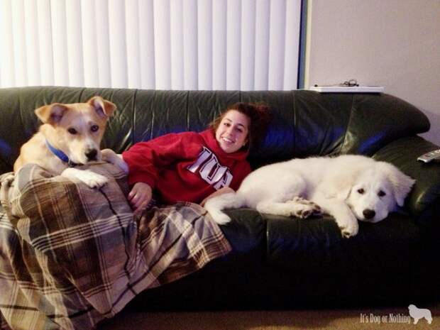 I was sick that day, but was in great hands ;)