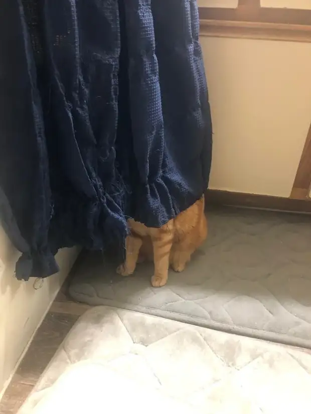 ?
