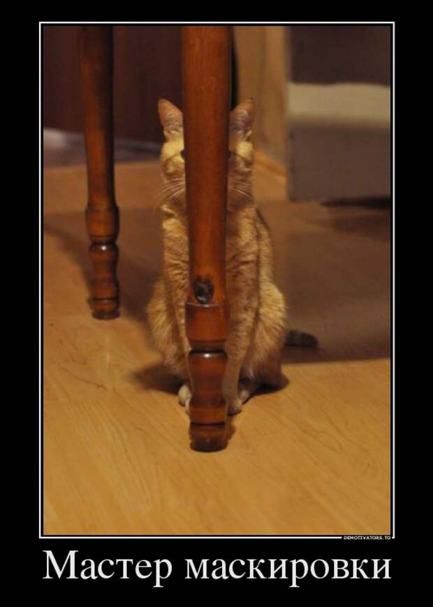 Демотиваторы демотиваторы, прикол, смех, юмор