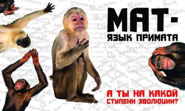 http://www.stihi.ru/pics/2015/02/24/335.jpg