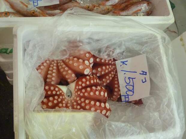 небо небо