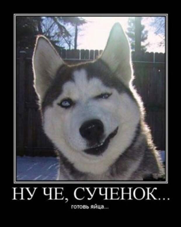 Веселая и прикольная подборка новеньких демотиваторов.!