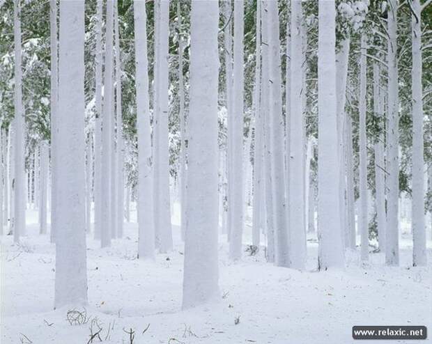 Andris_Eglitis_013 Andris_Eglitis_013