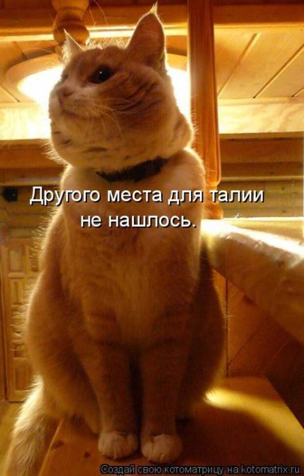Мысли вслух :)