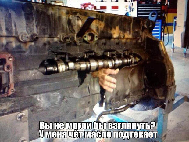 Прикольные картинки. Вечерний выпуск (54 фото)