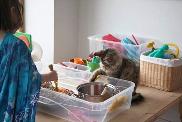 IrisandThula14 Как кошка Тула помогает девочке с аутизмом