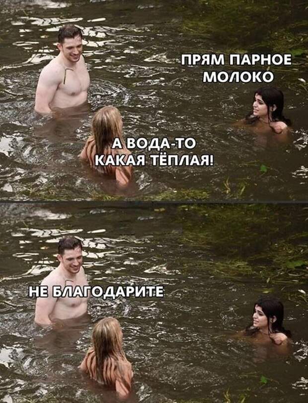 Не благодарите