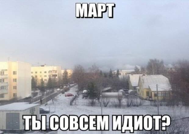 Хорошему человеку только прикольные фото.