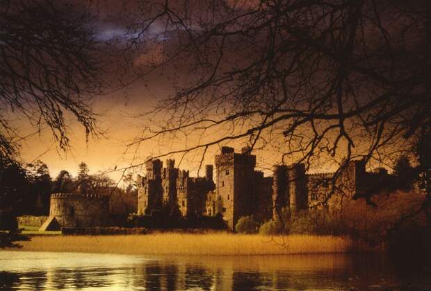 Средневековый замок Эшфорд ирландия, история, факты