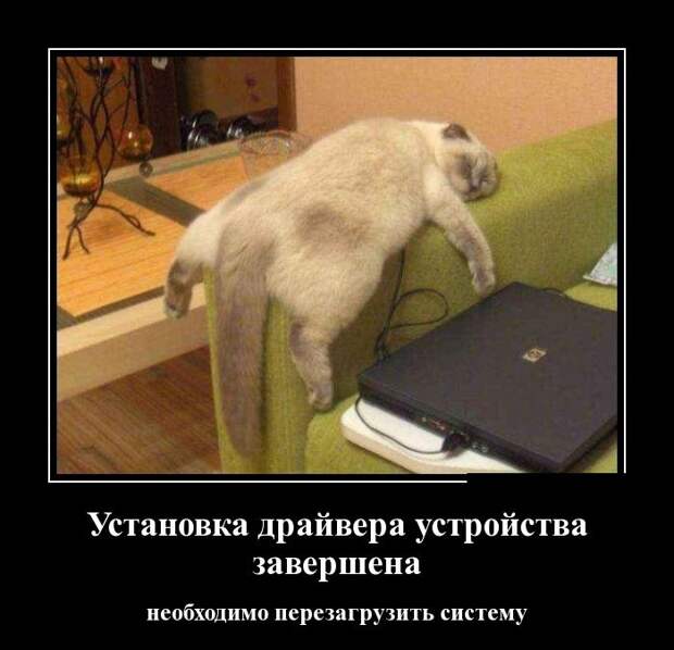 Демотиваторы (30 фото)