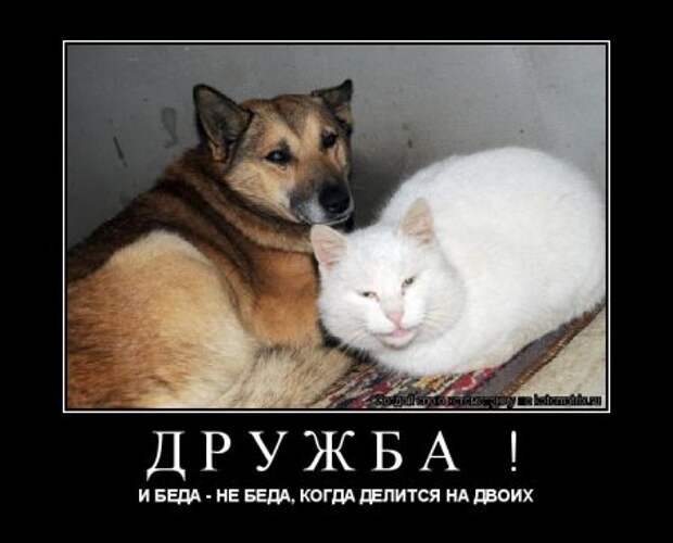 Демотиваторы про дружбу.