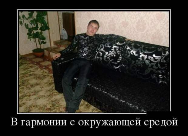 Лучшие демотиваторы дня