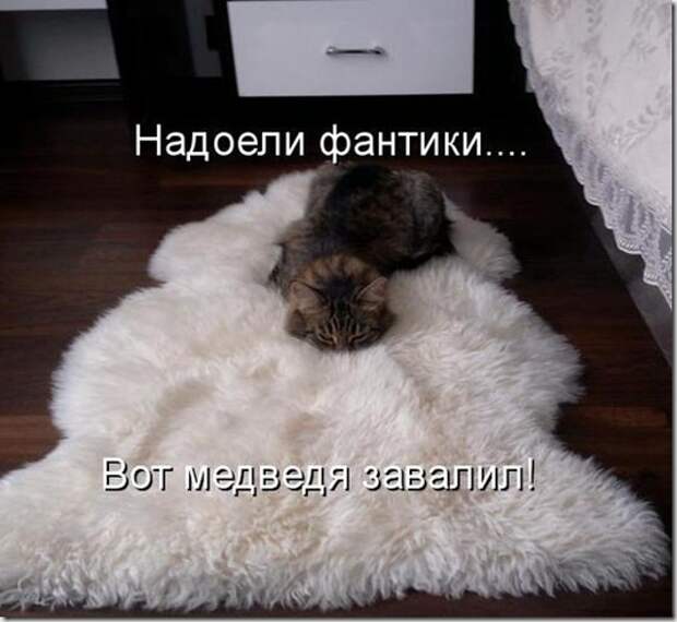 89305583_kotomatritsa_MF