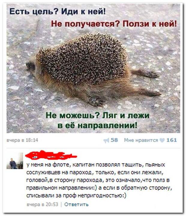 Смешные комментарии из социальных сетей 14.05.14  комментарии, прикол, соцсети