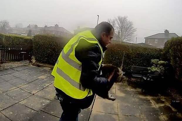 В Британии курьер Amazon похитил кошку — ему грозит до пяти лет тюрьмы