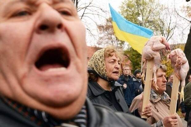 Украинские приколы. Новая серия