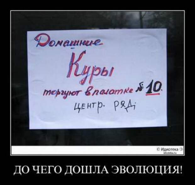 Демки прикольные