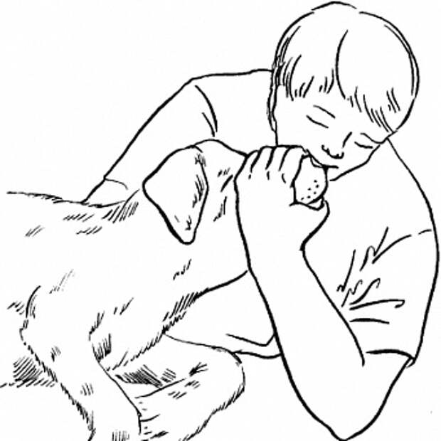 Первая помощь собаке