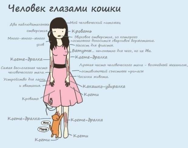 Прикольные картинки (73)