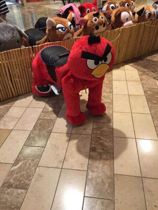 Что здесь происходит?! (31 фото)