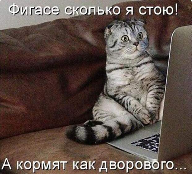 bc7aa533916abb9b025e5a110d8_prev