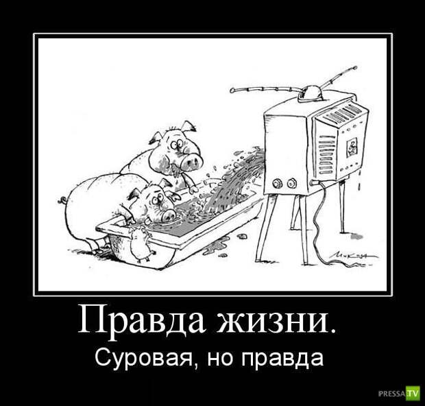 Демотиваторы на июль, часть 5 (29 фото)