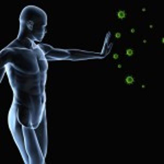 Как повысить иммунитет