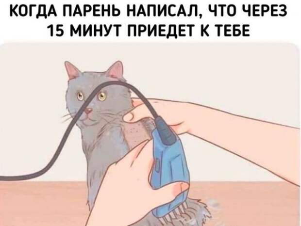 Мемы и приколы про 