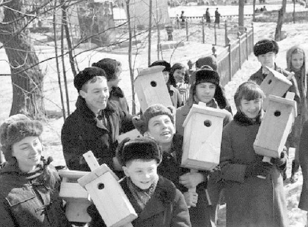 А еще делали скворечники. СССР, история, школа