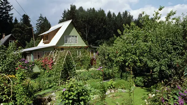 В Подмосковье земельные участки бесплатно получили 155 врачей